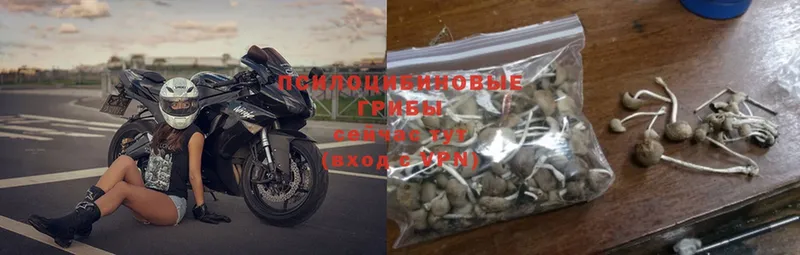 площадка формула  закладка  Камызяк  Галлюциногенные грибы MAGIC MUSHROOMS 